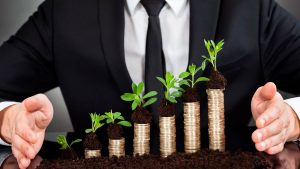 Земля есть, прибыли нет: главный парадокс владельцев земельных активов